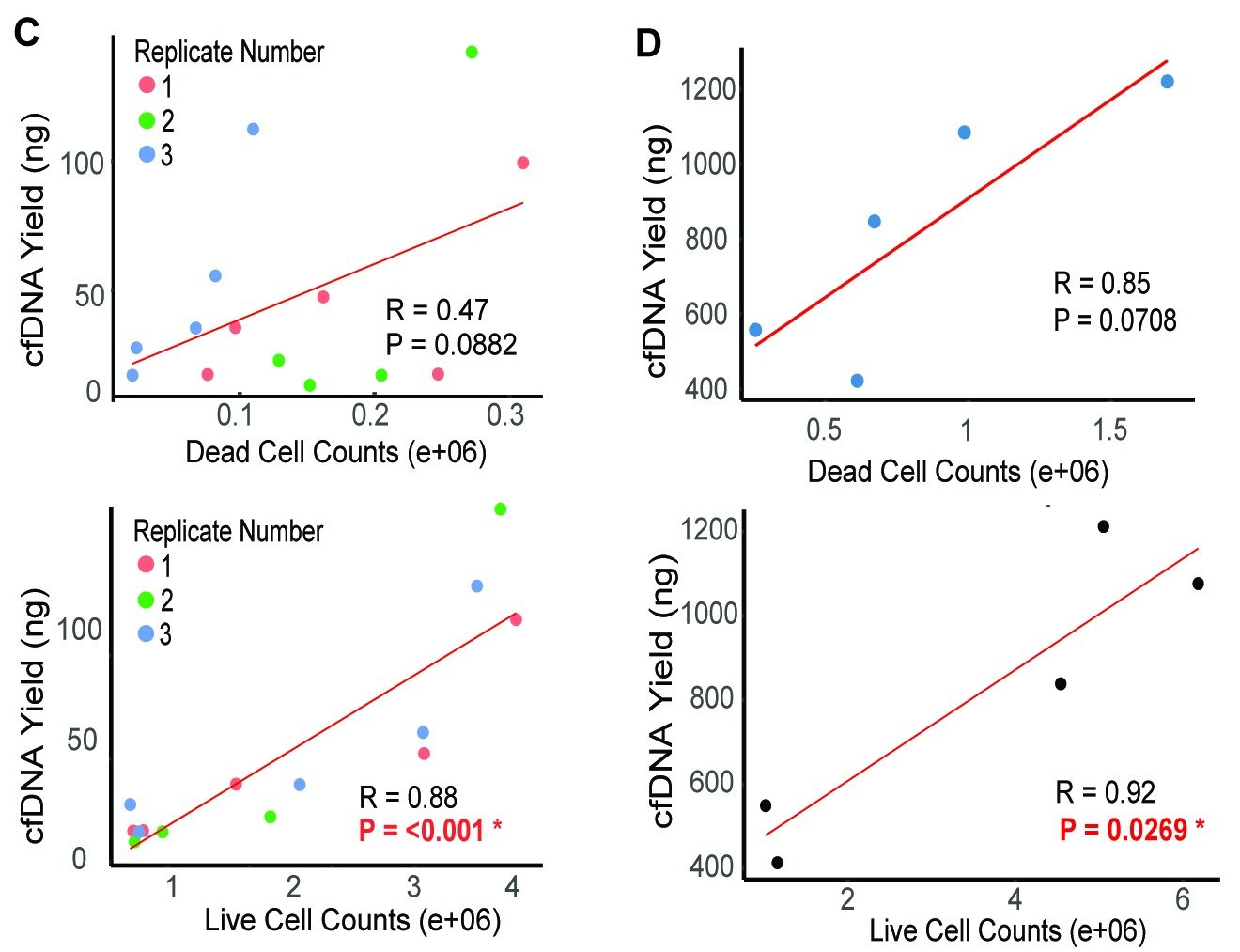 Four scatter plots of cfDNA yield against cell counts. GBM43, left: yield correlates weakly with dead cell counts (R = 0.47, P = 0.088) and strongly with live cell counts (R = 0.88, P < 0.001), with points colored by replicate. GBM12, right: yield correlates with dead cell counts (R = 0.85, P = 0.071, not significant) and with live cell counts (R = 0.92, P = 0.027).