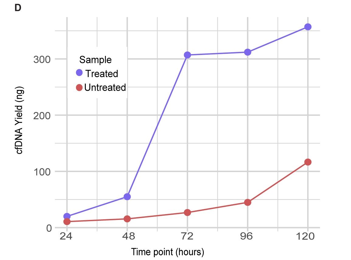 Line graph of cfDNA yield from 24 to 120 hours. Temozolomide-treated GBM43 cultures rise sharply after 48 hours to about 350 ng at 120 hours. Untreated cultures increase gradually to about 120 ng.