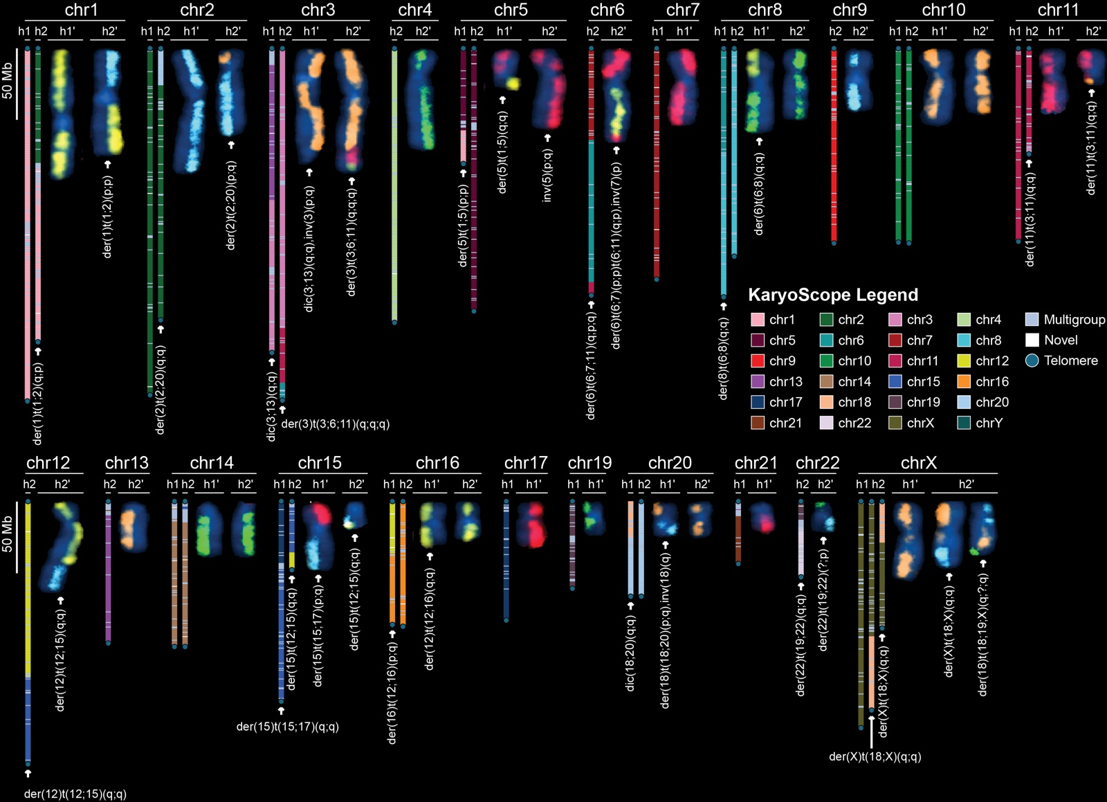 Side-by-side computational and traditional multi-color karyotype for HG008T