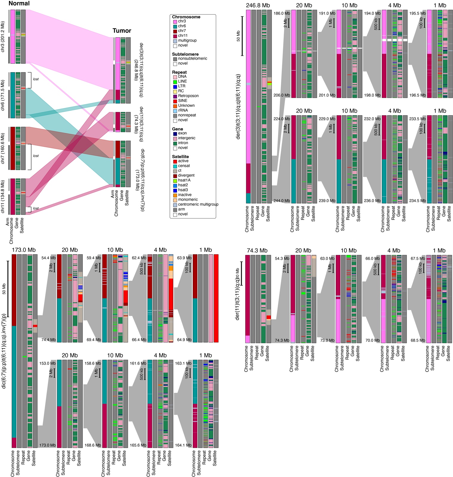 Chromoplexy causing a complex series of events linking chromosomes 3, 6, 7, and 11 in three hybrid tumor chromosomes