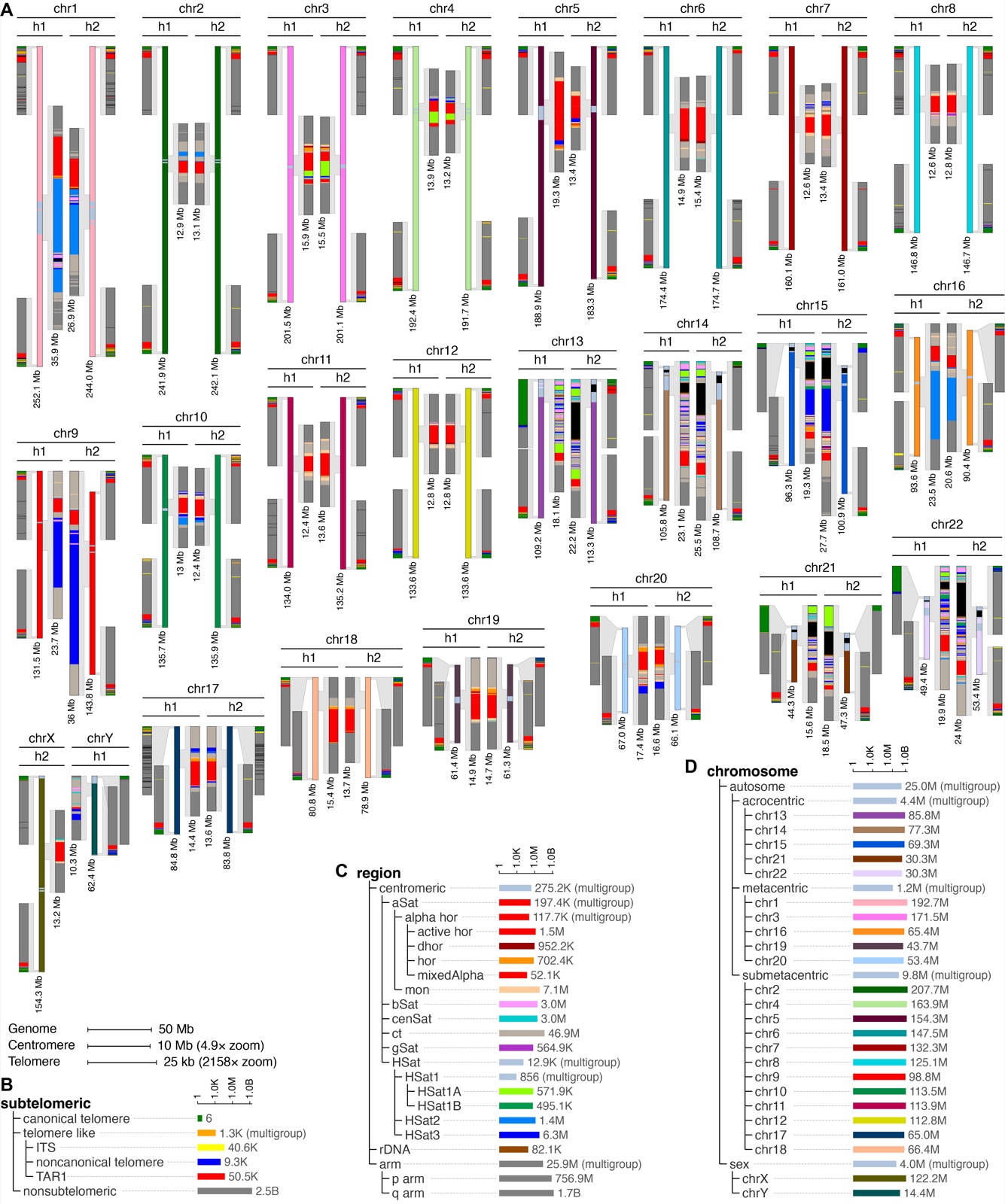 KaryoScope karyotype of the HG002 diploid assembly. All 22 autosomes plus X and Y, each shown as paired haplotypes (h1, h2). Each chromosome has a full-length track colored by chromosome of origin, a centromere zoom panel showing satellite composition, and a subtelomere zoom panel. Legends map chromosomes, satellite families, and subtelomeric features to colors.
