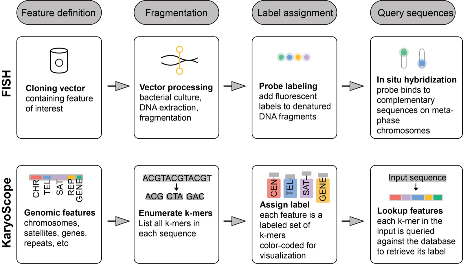 Schematic comparing FISH and KaryoScope workflows side by side in four parallel steps: feature definition, fragmentation, label assignment, and query. KaryoScope is presented as a computational analog of FISH.